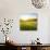 Sunrise in Green Rural Field-Liang Zhang-Photographic Print displayed on a wall
