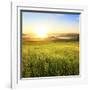 Sunrise in Green Rural Field-Liang Zhang-Framed Photographic Print