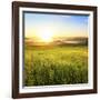 Sunrise in Green Rural Field-Liang Zhang-Framed Photographic Print