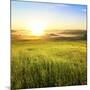 Sunrise in Green Rural Field-Liang Zhang-Mounted Photographic Print