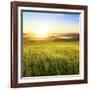 Sunrise in Green Rural Field-Liang Zhang-Framed Photographic Print