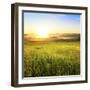 Sunrise in Green Rural Field-Liang Zhang-Framed Photographic Print