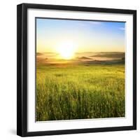 Sunrise in Green Rural Field-Liang Zhang-Framed Photographic Print