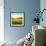 Sunrise in Green Rural Field-Liang Zhang-Framed Photographic Print displayed on a wall