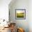 Sunrise in Green Rural Field-Liang Zhang-Framed Photographic Print displayed on a wall