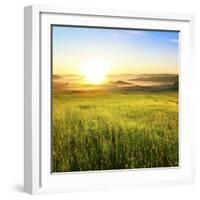 Sunrise in Green Rural Field-Liang Zhang-Framed Photographic Print