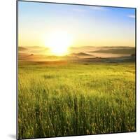 Sunrise in Green Rural Field-Liang Zhang-Mounted Photographic Print