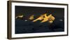 Sunrise in Hohe Tauern-Ralf Gerard-Framed Photographic Print