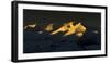 Sunrise in Hohe Tauern-Ralf Gerard-Framed Photographic Print