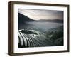 Sunrise in June, Longsheng Terraced Ricefields, Guangxi Province, China-Angelo Cavalli-Framed Premium Photographic Print