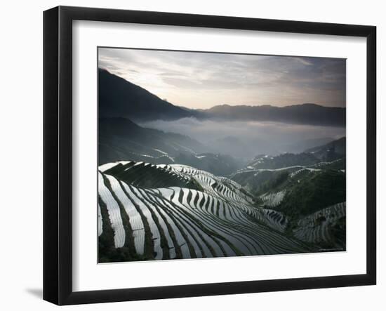 Sunrise in June, Longsheng Terraced Ricefields, Guangxi Province, China-Angelo Cavalli-Framed Photographic Print