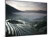 Sunrise in June, Longsheng Terraced Ricefields, Guangxi Province, China-Angelo Cavalli-Mounted Photographic Print
