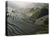 Sunrise in June, Longsheng Terraced Ricefields, Guangxi Province, China-Angelo Cavalli-Stretched Canvas