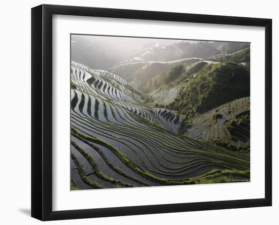 Sunrise in June, Longsheng Terraced Ricefields, Guangxi Province, China-Angelo Cavalli-Framed Photographic Print