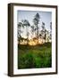 Sunrise in Long Pine Area of Everglades National Park-Terry Eggers-Framed Photographic Print