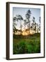 Sunrise in Long Pine Area of Everglades National Park-Terry Eggers-Framed Photographic Print