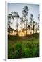 Sunrise in Long Pine Area of Everglades National Park-Terry Eggers-Framed Photographic Print