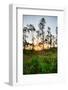 Sunrise in Long Pine Area of Everglades National Park-Terry Eggers-Framed Photographic Print