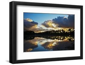 Sunrise in Long Pine Area of Everglades NP-Terry Eggers-Framed Photographic Print