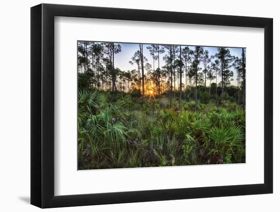 Sunrise in Mahogany Hammock-Terry Eggers-Framed Photographic Print