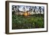 Sunrise in Mahogany Hammock-Terry Eggers-Framed Photographic Print