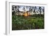 Sunrise in Mahogany Hammock-Terry Eggers-Framed Photographic Print