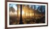 Sunrise in Misty Woods Near Wareham, Dorset, England, Uk-Galyaivanova-Framed Photographic Print