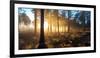 Sunrise in Misty Woods Near Wareham, Dorset, England, Uk-Galyaivanova-Framed Photographic Print