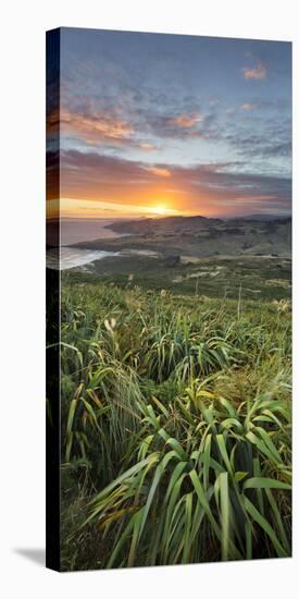 Sunrise in Sandy Mount, Dunedin, Otago, South Island, New Zealand-Rainer Mirau-Stretched Canvas