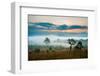 Sunrise in Savanah Meadow-Joney-Framed Photographic Print