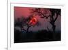 Sunrise in the African Savanna Kruger National Park South Africa-francesco de marco-Framed Photographic Print