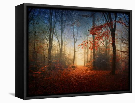 Sunrise in the Brocéliande Forest-Philippe Manguin-Framed Stretched Canvas