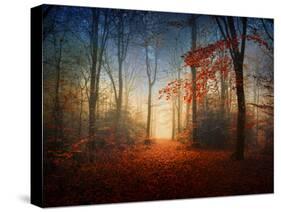 Sunrise in the Brocéliande Forest-Philippe Manguin-Stretched Canvas