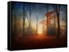 Sunrise in the Brocéliande Forest-Philippe Manguin-Framed Stretched Canvas