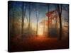 Sunrise in the Brocéliande Forest-Philippe Manguin-Stretched Canvas