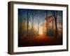 Sunrise in the Brocéliande Forest-Philippe Manguin-Framed Photographic Print