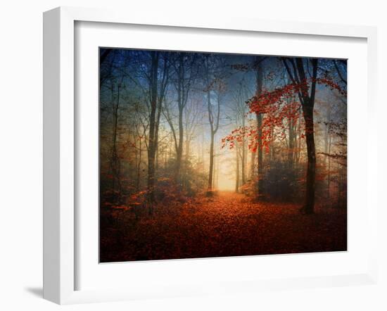 Sunrise in the Brocéliande Forest-Philippe Manguin-Framed Photographic Print