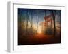 Sunrise in the Brocéliande Forest-Philippe Manguin-Framed Photographic Print