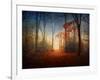 Sunrise in the Brocéliande Forest-Philippe Manguin-Framed Photographic Print