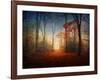 Sunrise in the Brocéliande Forest-Philippe Manguin-Framed Photographic Print