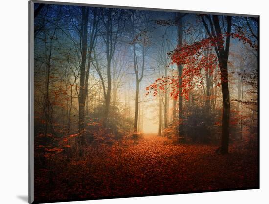 Sunrise in the Brocéliande Forest-Philippe Manguin-Mounted Photographic Print