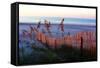 Sunrise in the Dunes-Alan Hausenflock-Framed Stretched Canvas