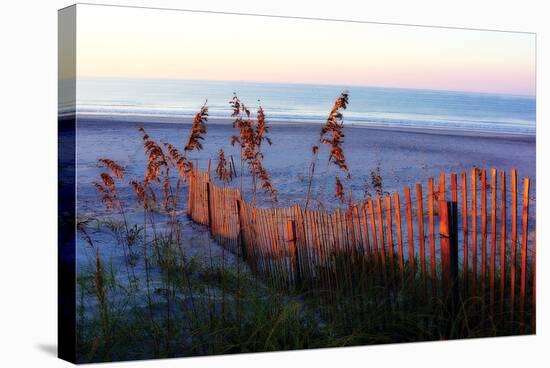 Sunrise in the Dunes-Alan Hausenflock-Stretched Canvas