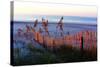 Sunrise in the Dunes-Alan Hausenflock-Stretched Canvas