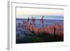 Sunrise in the Dunes-Alan Hausenflock-Framed Photographic Print