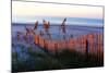 Sunrise in the Dunes-Alan Hausenflock-Mounted Photographic Print