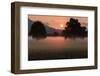 Sunrise in the Lauteracher Reeds-Jurgen Ulmer-Framed Photographic Print