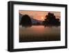 Sunrise in the Lauteracher Reeds-Jurgen Ulmer-Framed Photographic Print