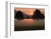 Sunrise in the Lauteracher Reeds-Jurgen Ulmer-Framed Photographic Print