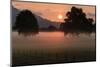 Sunrise in the Lauteracher Reeds-Jurgen Ulmer-Mounted Photographic Print